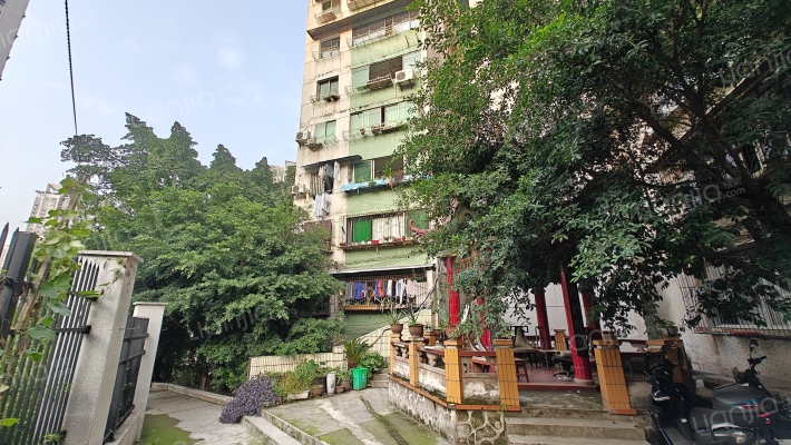 68中集资房外景图