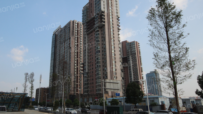 金房万树丹堤外景图