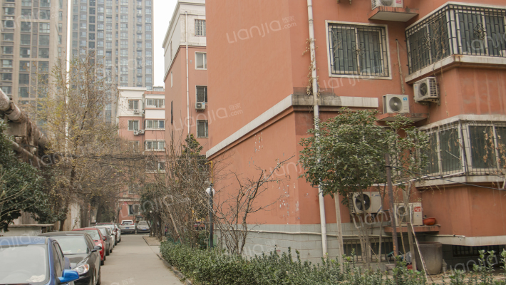 蓝雀花园外景图