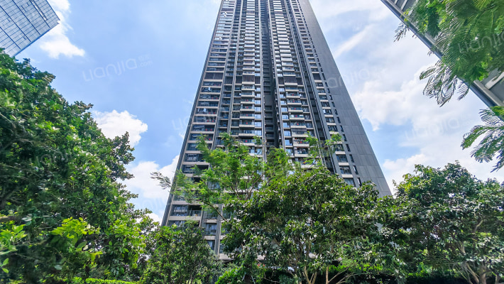 笋岗中心万象华府外景图