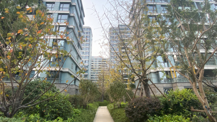 中天·江上明月外景图