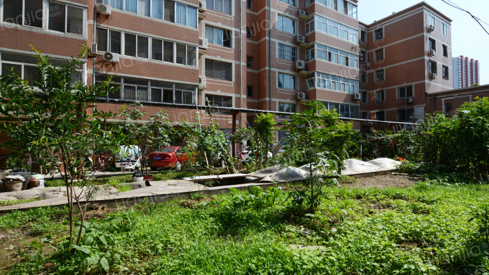 金昌西小区南区外景图