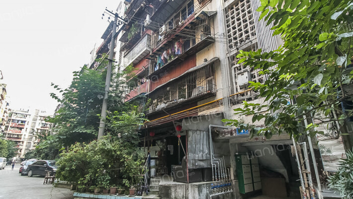 东光街7号外景图