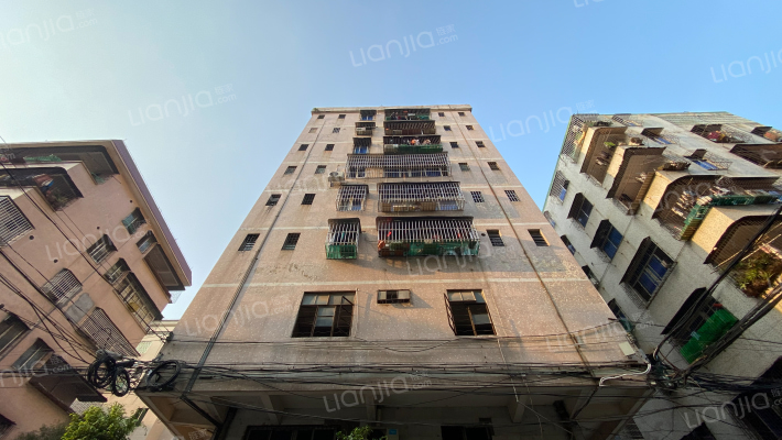 跃华路522号外景图