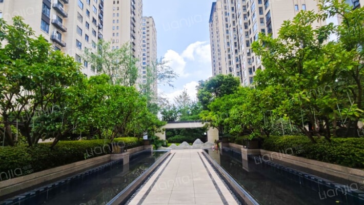 德信碧桂园玖号院外景图