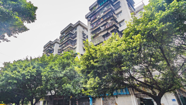 凤阳小区外景图