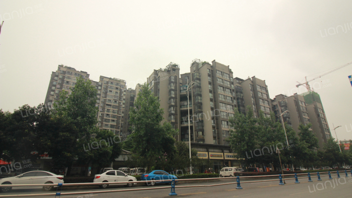 金色鱼凫外景图