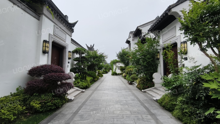 绿城龙山玫瑰园外景图