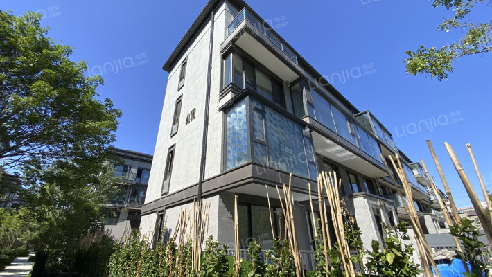 龙湖尘林间外景图