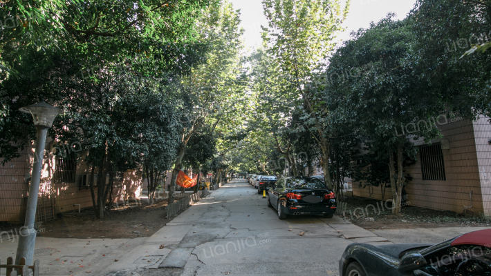 文化新村外景图