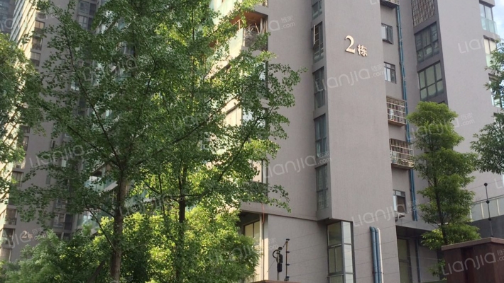 金牛新都会外景图