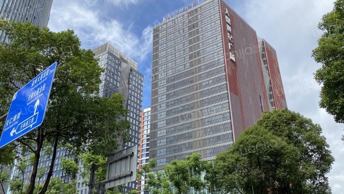 大鼎世纪广场外景图