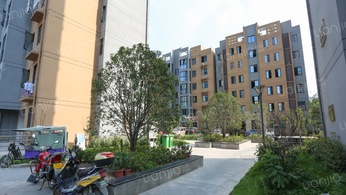 庐阳佳苑D组团外景图