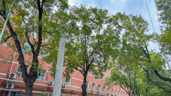 海军机修厂家属院外景图