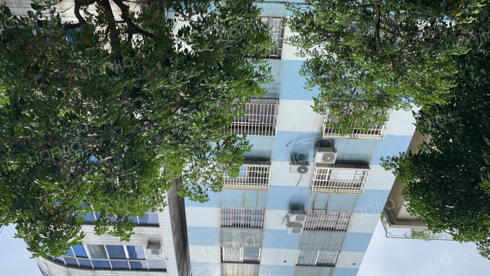 乐善北路外景图