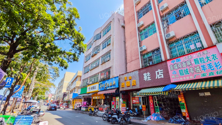 南洲路外景图