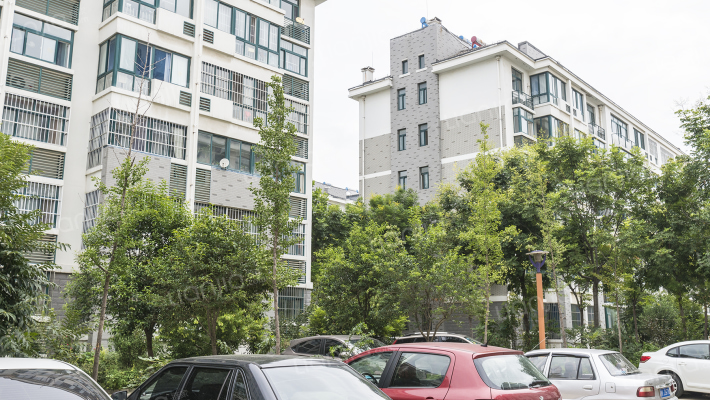 鴛都湖交運花園外景图