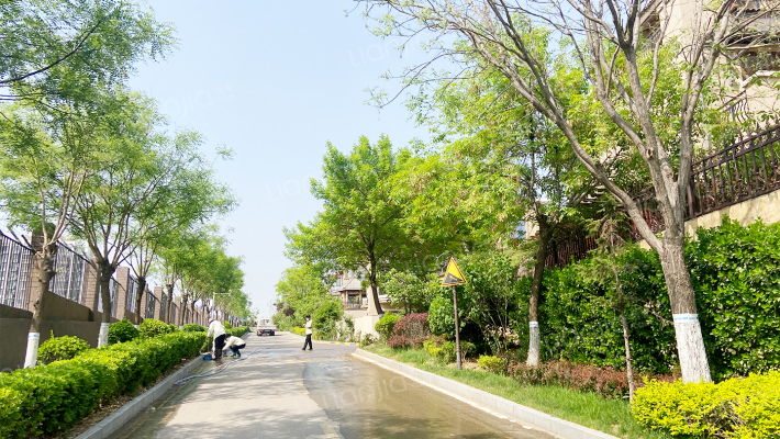 泰安碧桂园外景图
