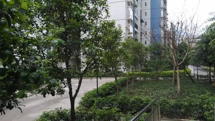 天顺家园外景图