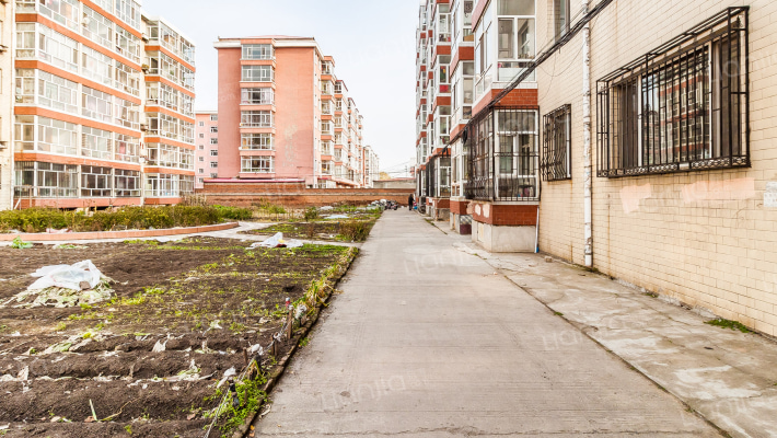 洗涤剂家属楼外景图