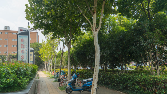 CBC拓基广场外景图