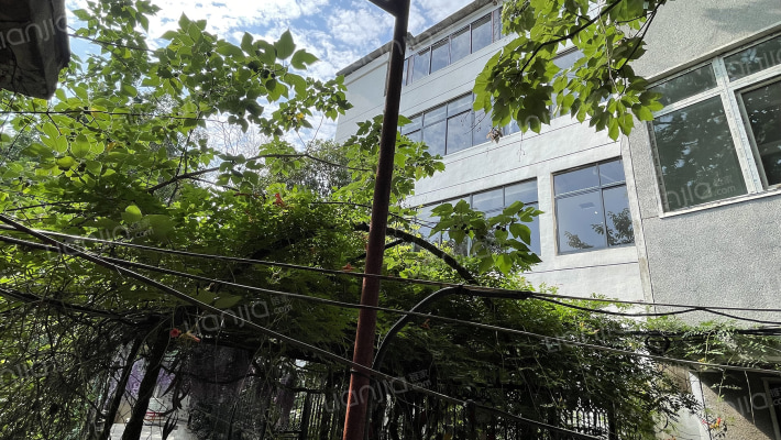 福利村29号外景图