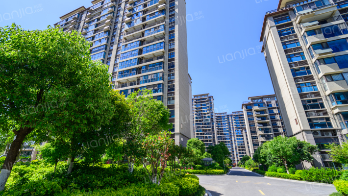 碧桂园·樾府外景图