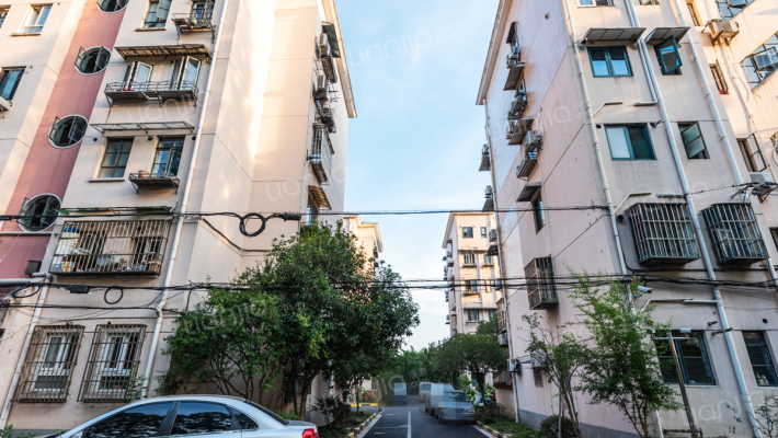 长桥八村外景图