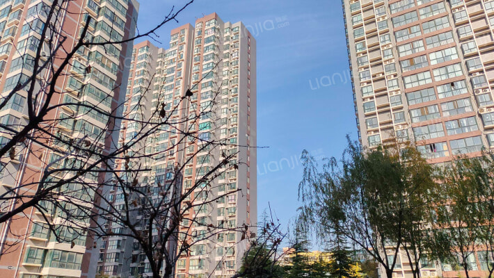 紫郡观澜外景图