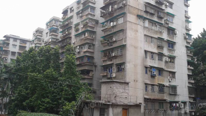 市一宿舍大院外景图