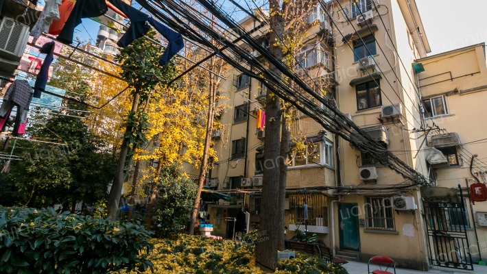 陕西南路271弄23支弄外景图