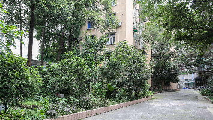 商业街50号外景图