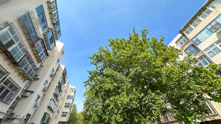 丛台地税家属院外景图