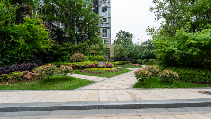 大华锦绣华城(十五街区)外景图