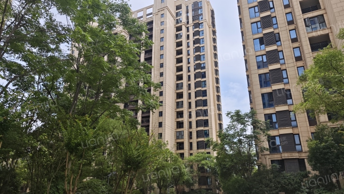 红星天铂一期外景图