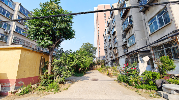 泰煤机厂北宿舍外景图
