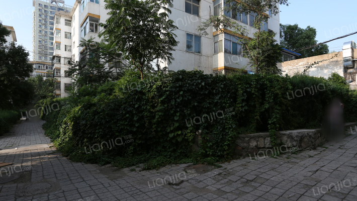 东华苑-随柳园外景图