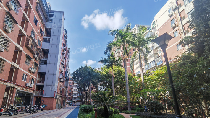 鑫利花园外景图