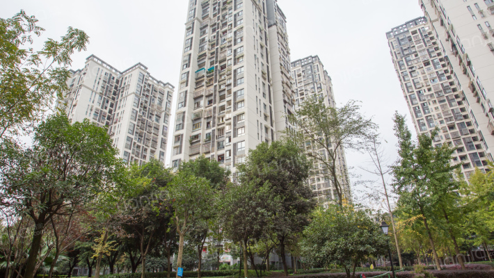 爱加橄榄园外景图