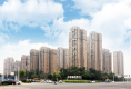 百悦天鹅湖23