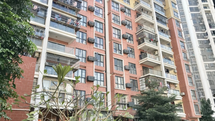 阳光里玫瑰园外景图