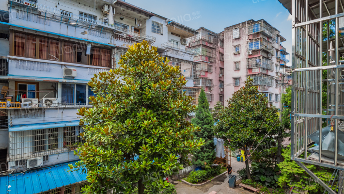 水心住宅区榕组团外景图