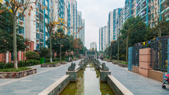 新澳蓝草坪外景图