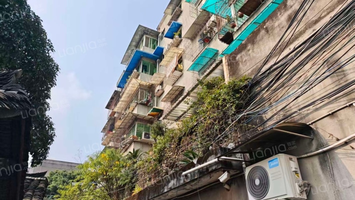 金带街95号外景图