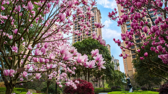 雅居乐铂雅苑外景图
