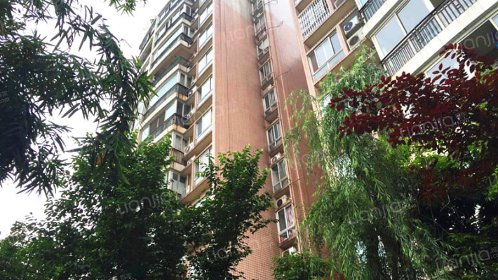 双楠美邻外景图