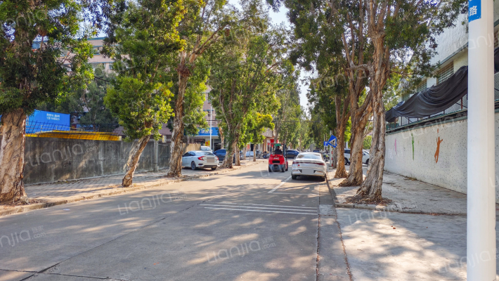 嘉碧路外景图