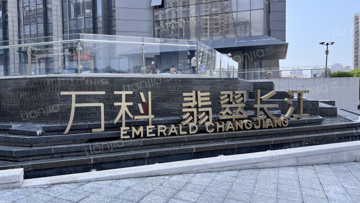 万科翡翠长江外景图