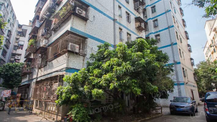 天心花园外景图