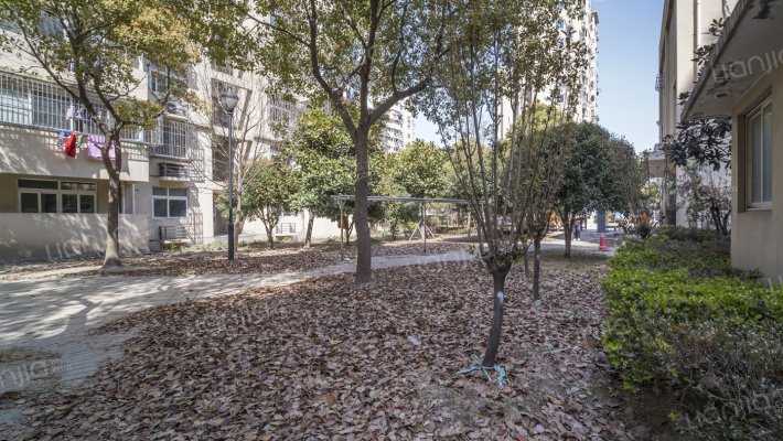 三林新村(永泰路468弄)外景图